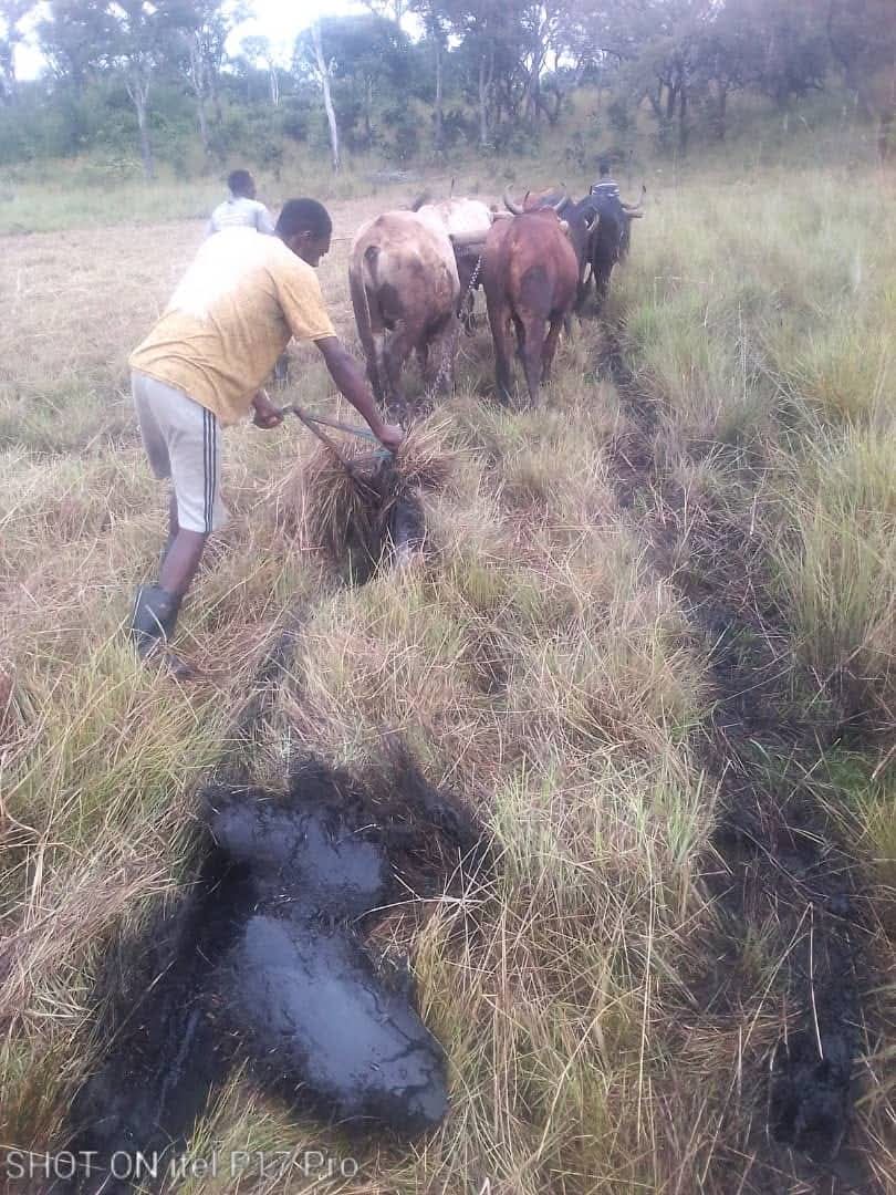 Team at Work - Gungakabayo