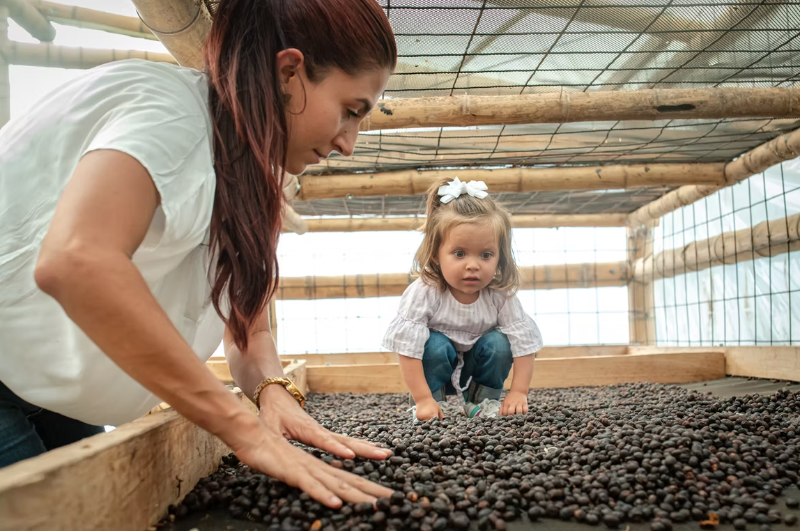 Family Coffee Farming - Next Generation