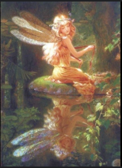 fairy land
